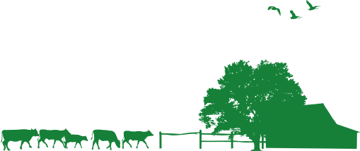 Rural Farm Scene with Livestock